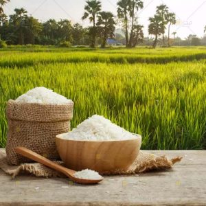 برنج فروشی معافی در رشت