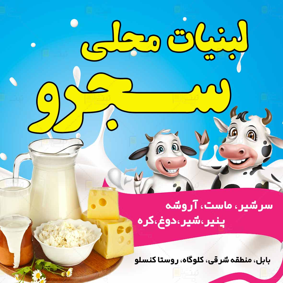 لبنیات محلی سجرو در بابل