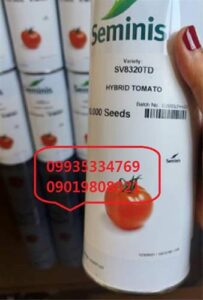 بذر گوجه فرنگی ۸۳۲۰ سپهری در شوشتر