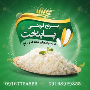 برنج فروشی پایتخت در شوش