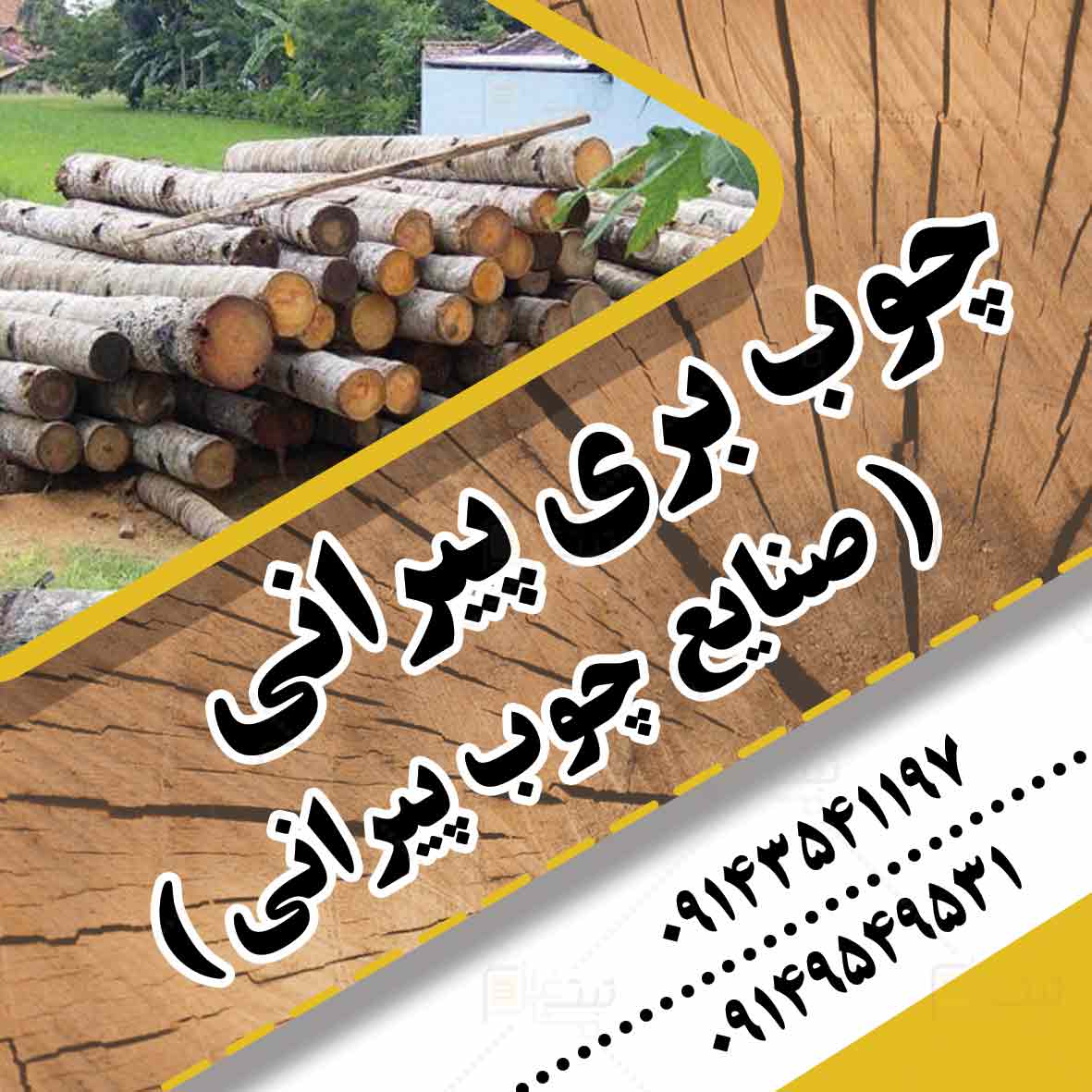 چوب بری پیرانی در اردبیل